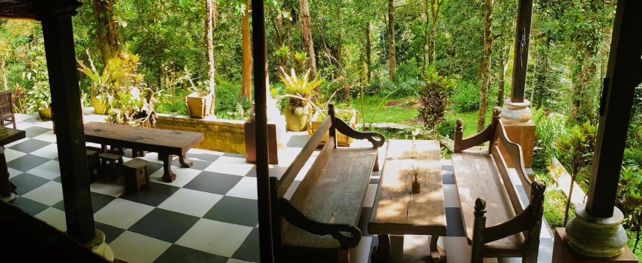 Happy Ria Homestay & Guesthouse Bukit Lawang Eksteriør bilde