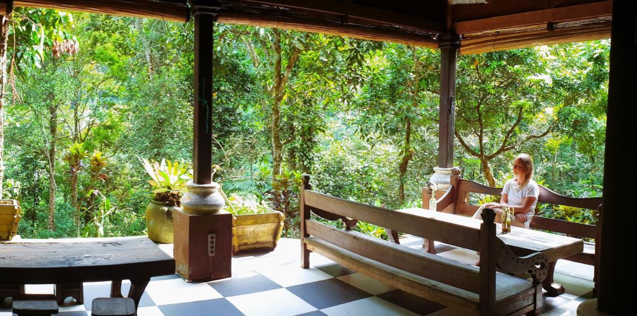 Happy Ria Homestay & Guesthouse Bukit Lawang Eksteriør bilde