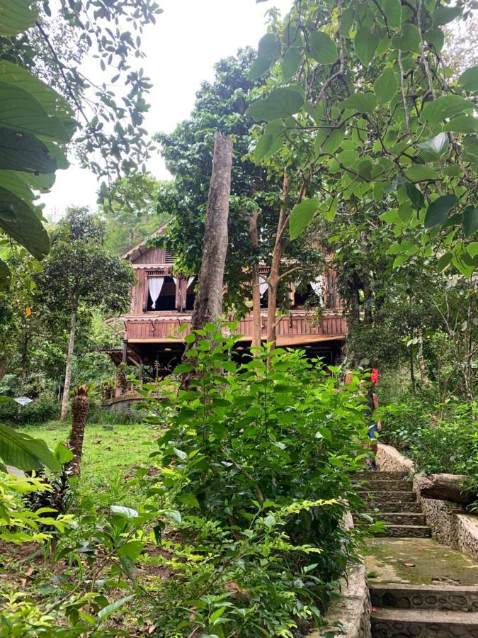 Happy Ria Homestay & Guesthouse Bukit Lawang Eksteriør bilde